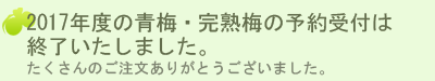 青梅・完熟梅のご予約