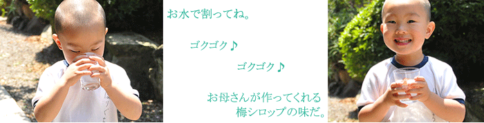 手作り梅シロップ