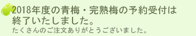 青梅についてのお知らせ
